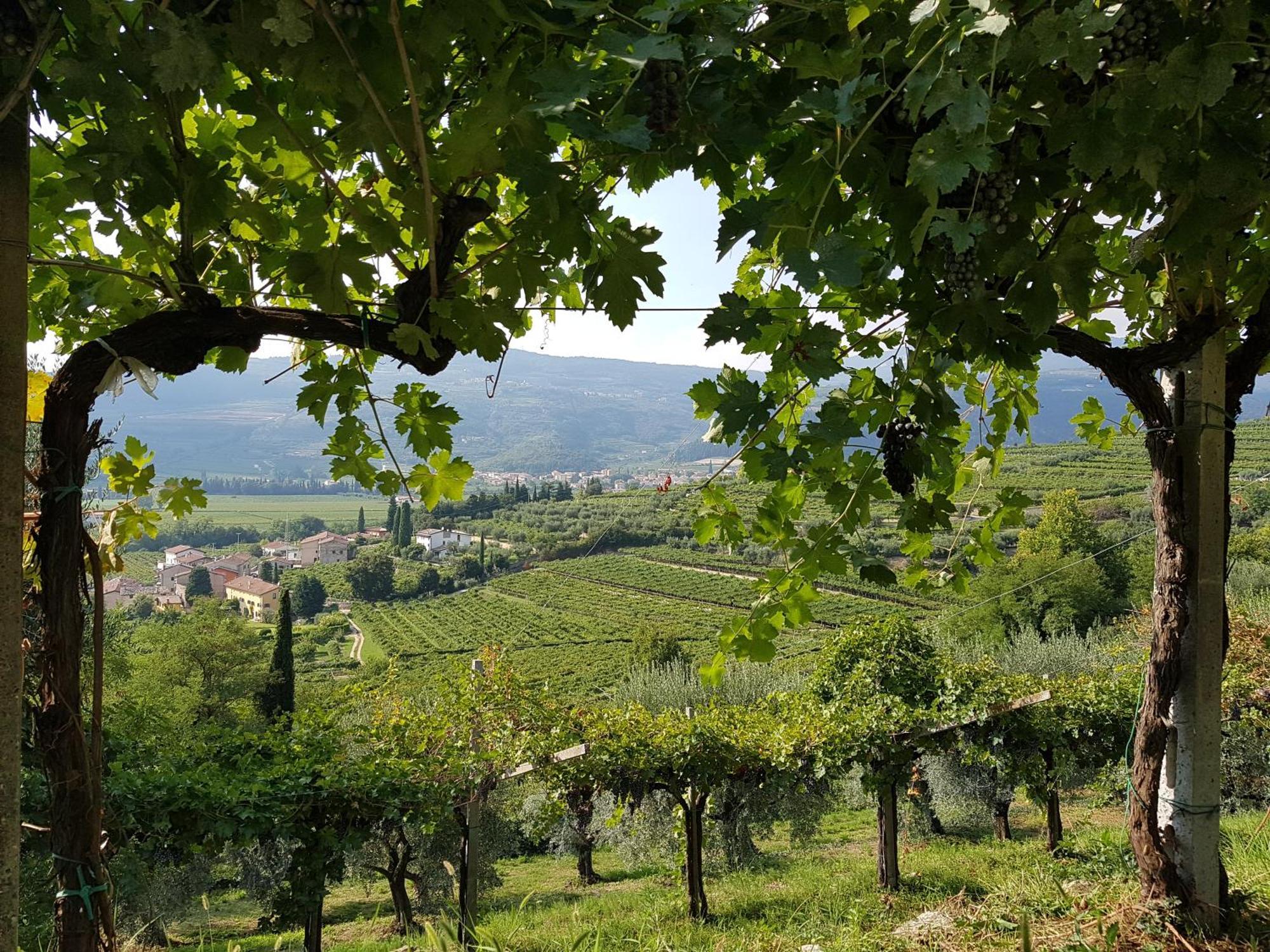 Agriturismo Valentina Cubi Фумане Екстериор снимка