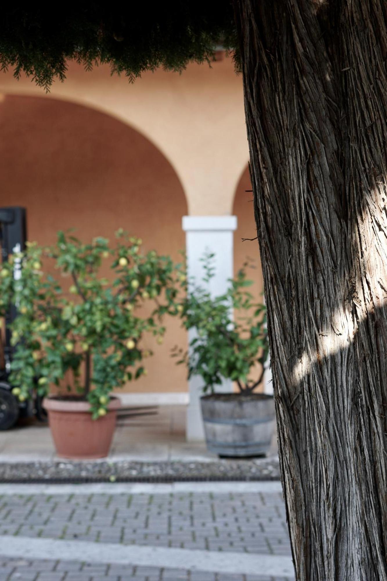 Agriturismo Valentina Cubi Фумане Екстериор снимка