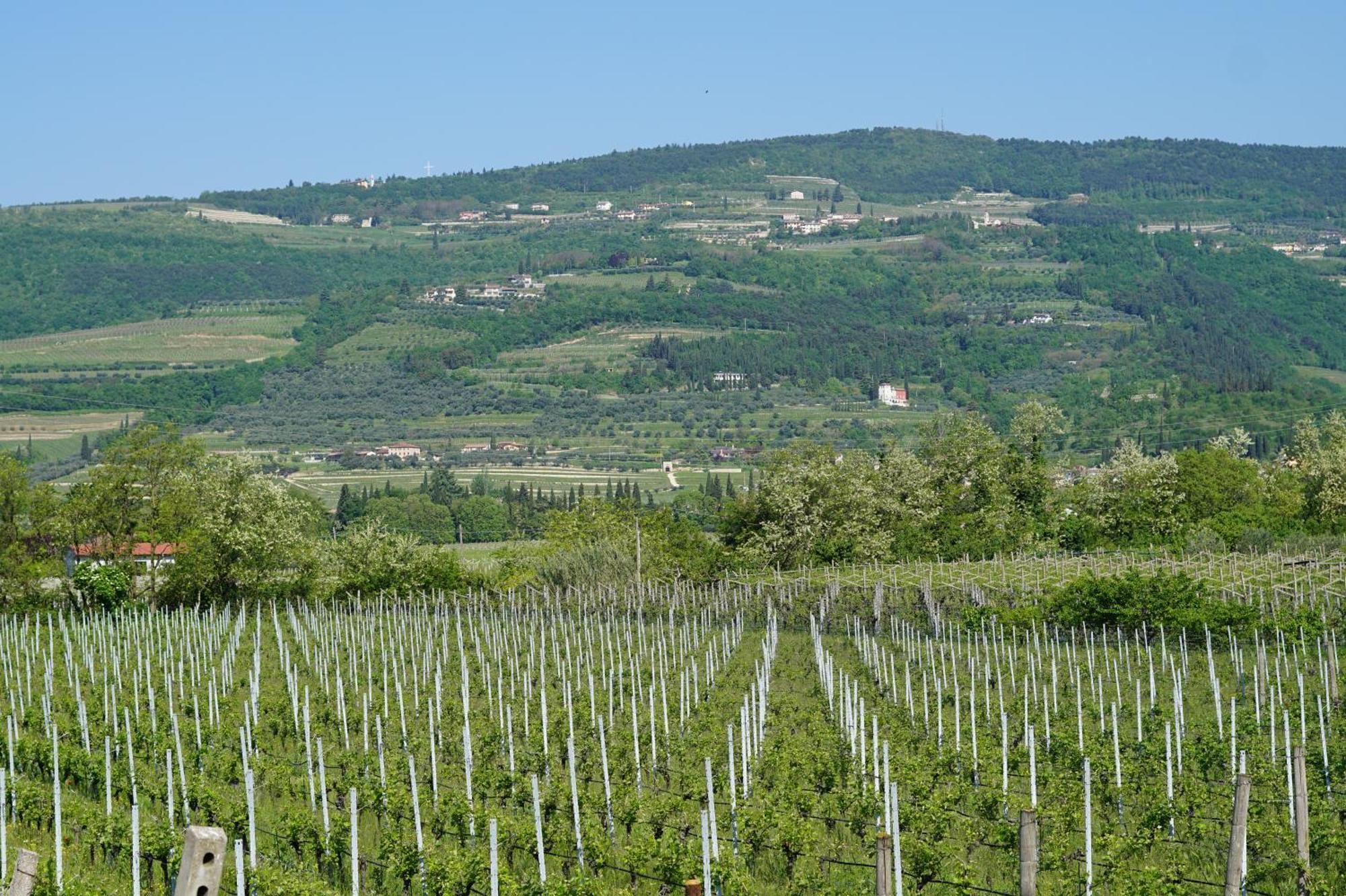 Agriturismo Valentina Cubi Фумане Екстериор снимка